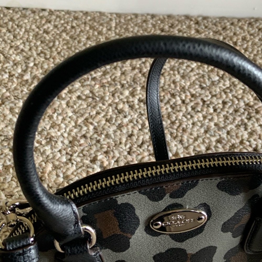 Coach Animal Print - Picture 6 of 7